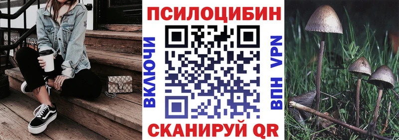 Псилоцибиновые грибы Cubensis  Сухиничи 
